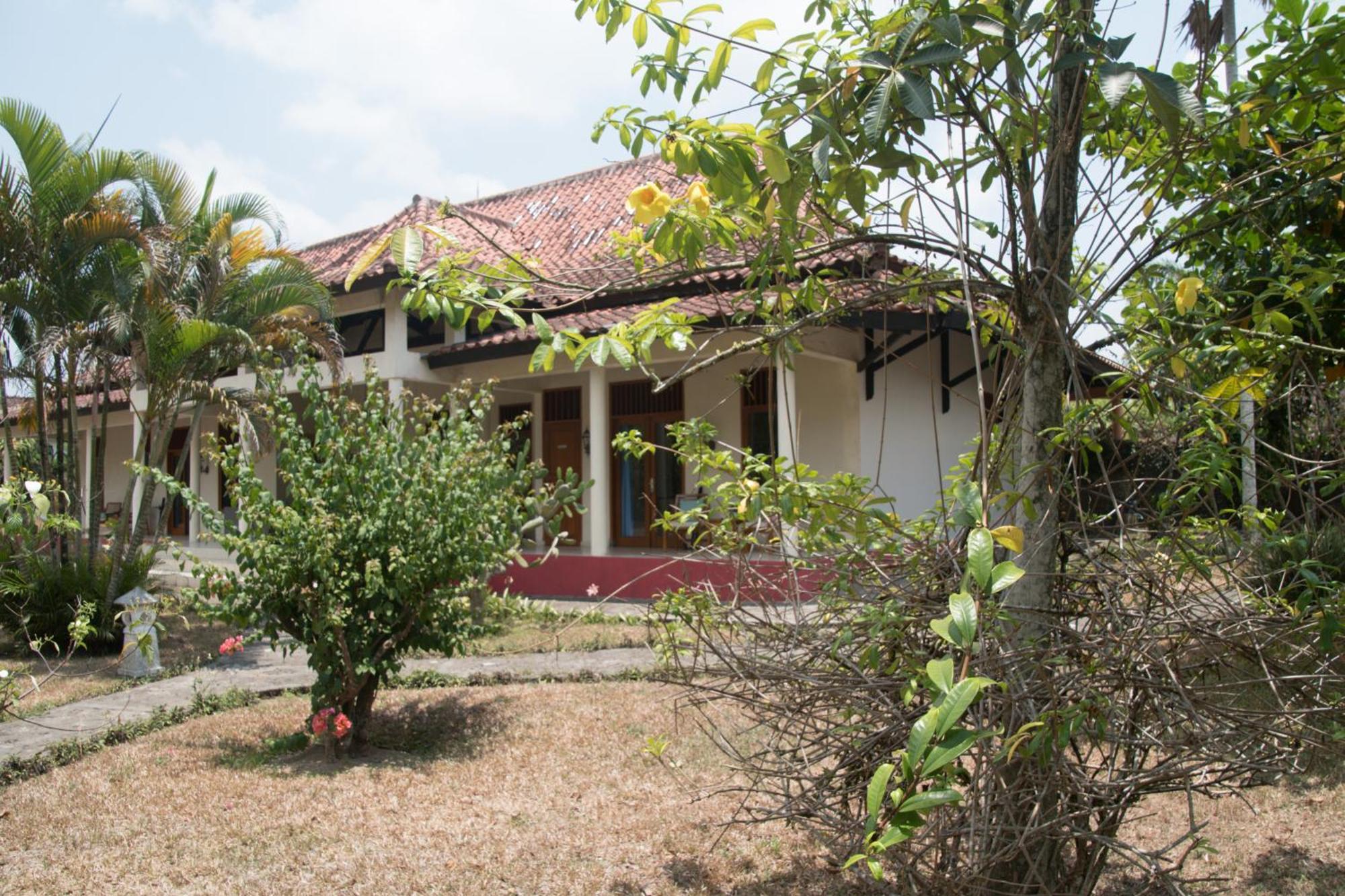 Guesthouse Rumah Senang Kalibaru Luaran gambar