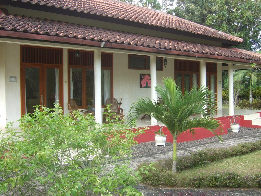Guesthouse Rumah Senang Kalibaru Luaran gambar