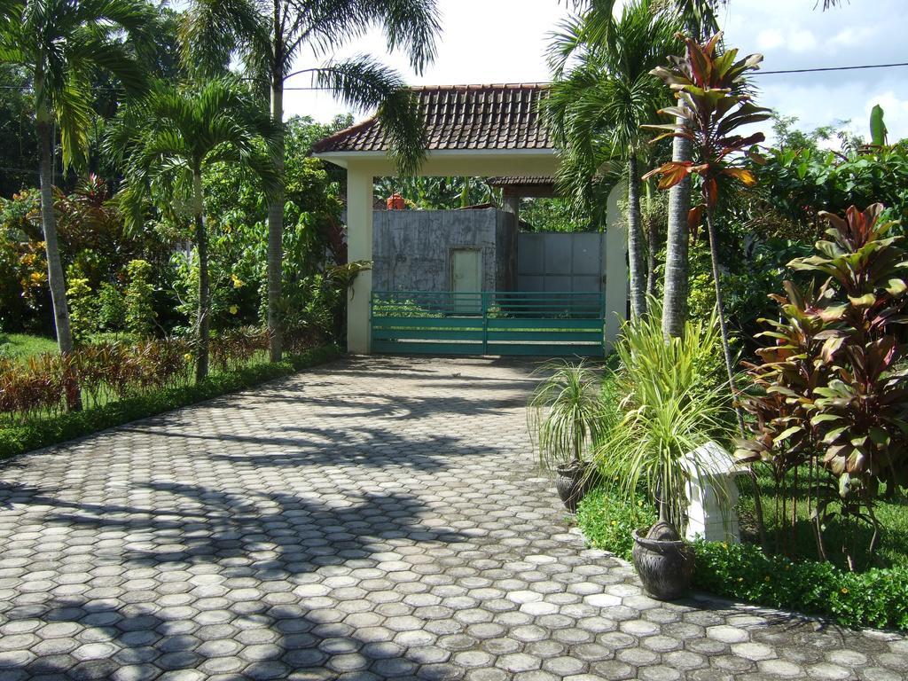 Guesthouse Rumah Senang Kalibaru Luaran gambar